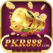 pkr888